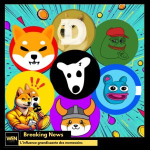 impact des memecoins